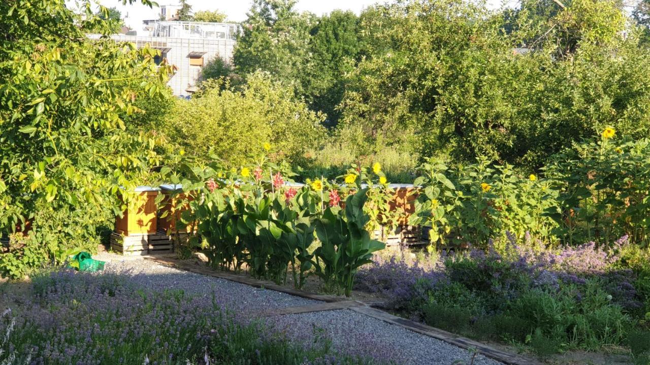 Agroturystyka U Joli Pacanow Exteriér fotografie